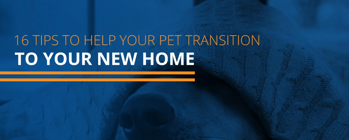 16 tips to help your pet transition to your new home